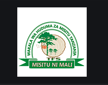 Nafasi za kazi Tanzania Forest Service (TFS) 2022