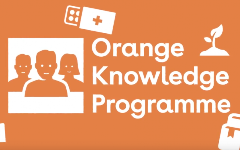 Nuffic Orange Knowledge Programme (OKP) Scholarships 2022/2023