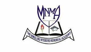 Mwalimu Nyerere Memorial Academy Jobs