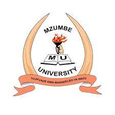MZUMBE Third Selection 2022/2023 Academic Year