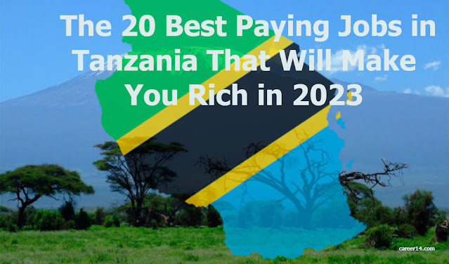 The Best 20 Paying Jobs in Tanzania 2023