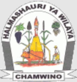 Job Vacancies at Chamwino District Dodoma 2023