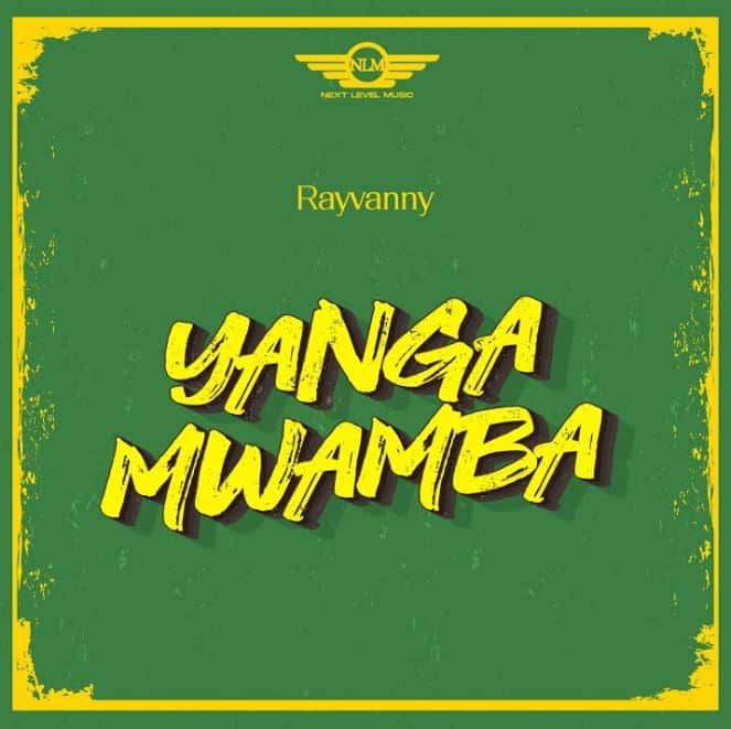 AUDIO Rayvanny - Yanga Mwamba MP3 DOWNLOAD